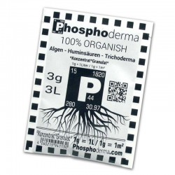 Phosphoderma, 3g