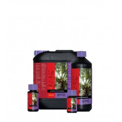 Atami B´cuzz Booster Coco, 1L